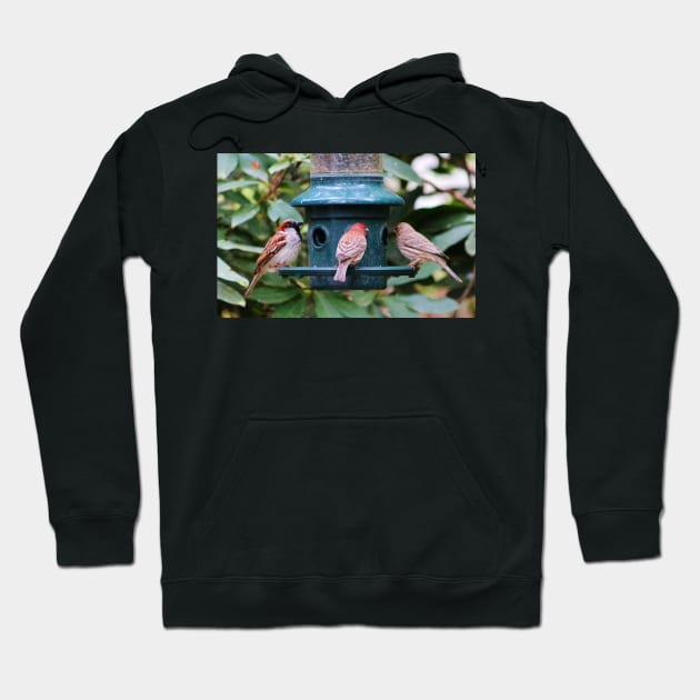 Three Bird Friends Hoodie by Cynthia48